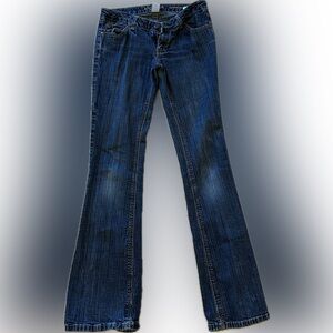 Arizona Jean Co. favorite flare jeans